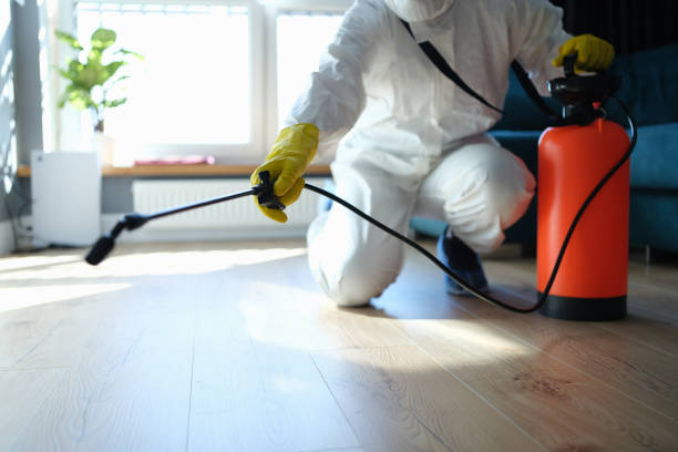 Reliable Odor Removal contractor in Lynchburg, OH by Trauma Clean Pros